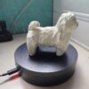 Estátua Shih-Tzu Low Poly - Image 4